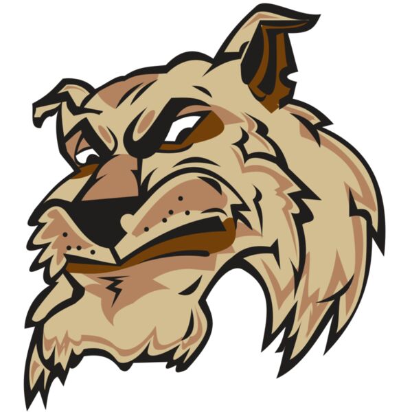 WILDCAT HD0501 RQC Thumbnail